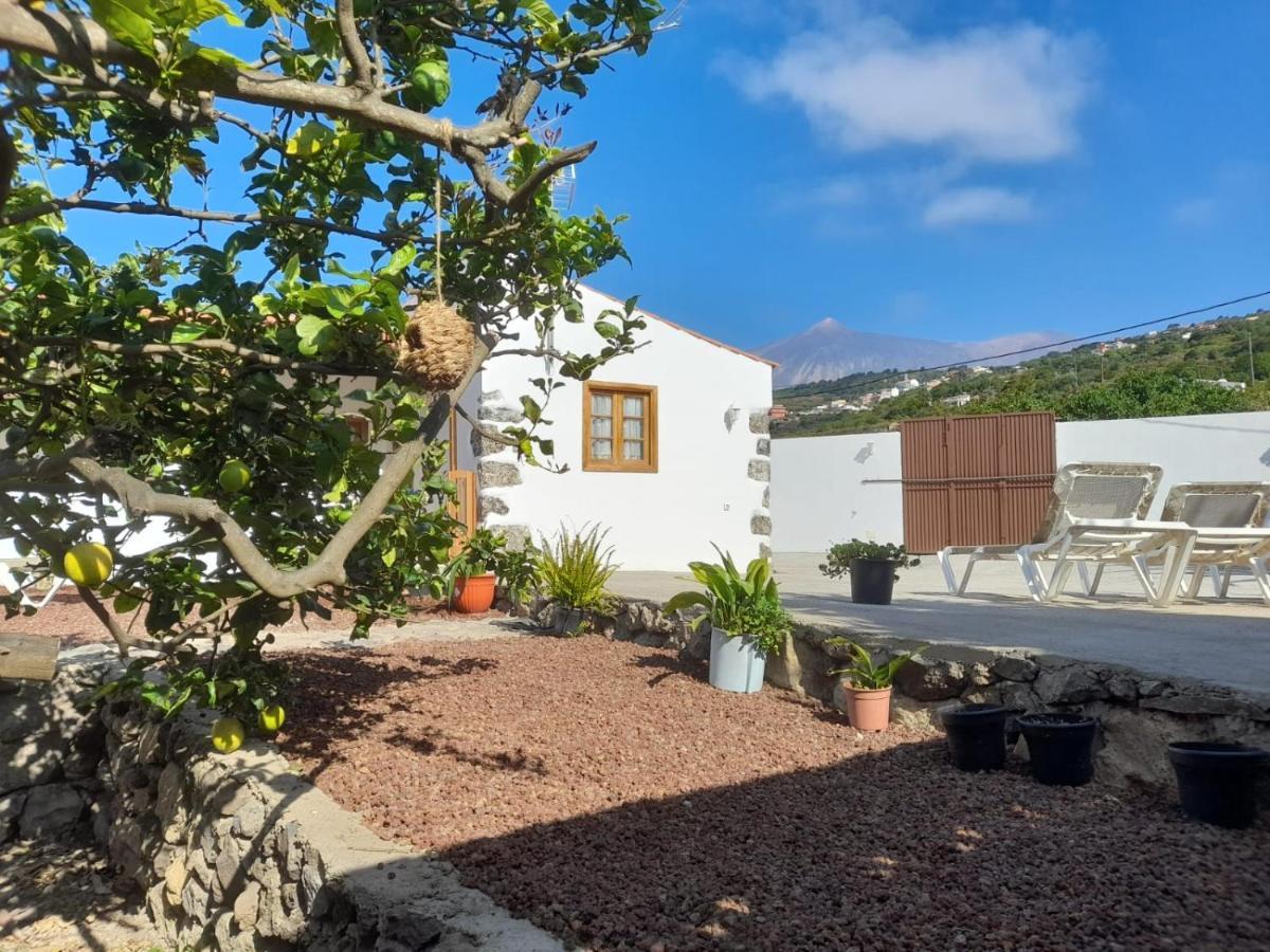 La Casa Del Bisa Villa Genovés Exterior foto