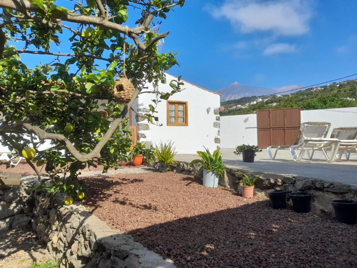 La Casa Del Bisa Villa Genovés Exterior foto